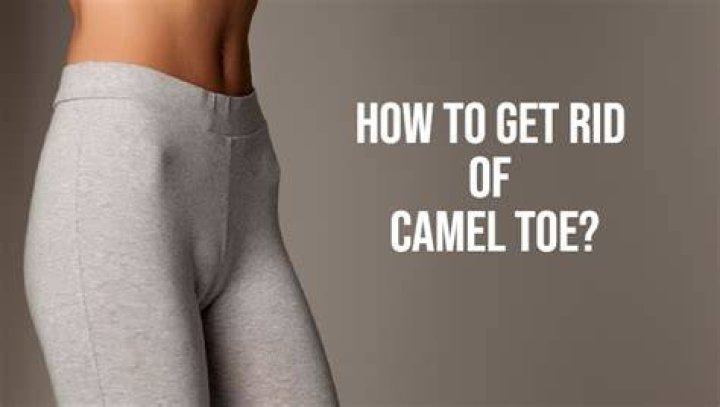 Camel Toe From The Back Explored