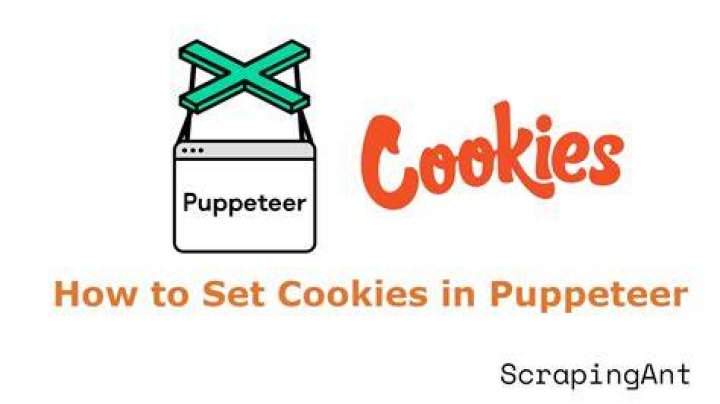How to set Cookies enabled in puppeteer