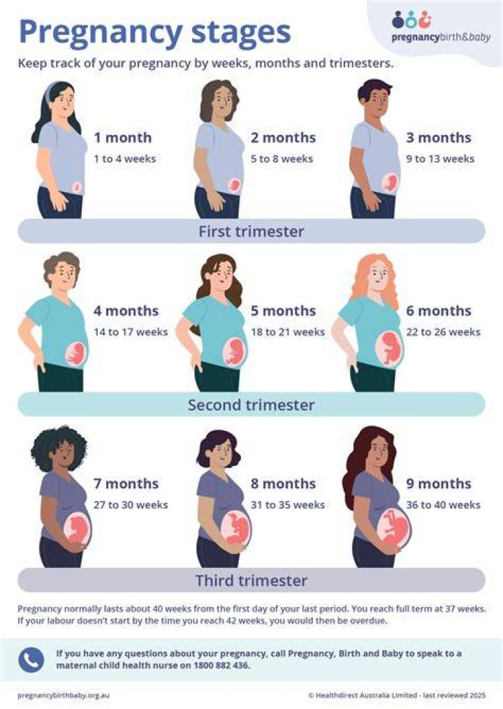 Pregnant with First Child! ·