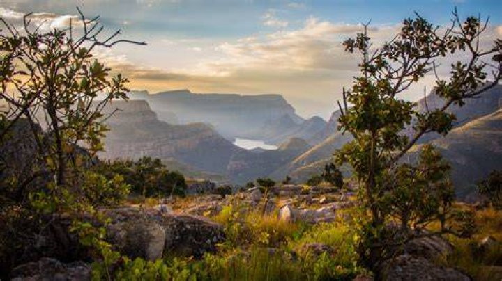 South African