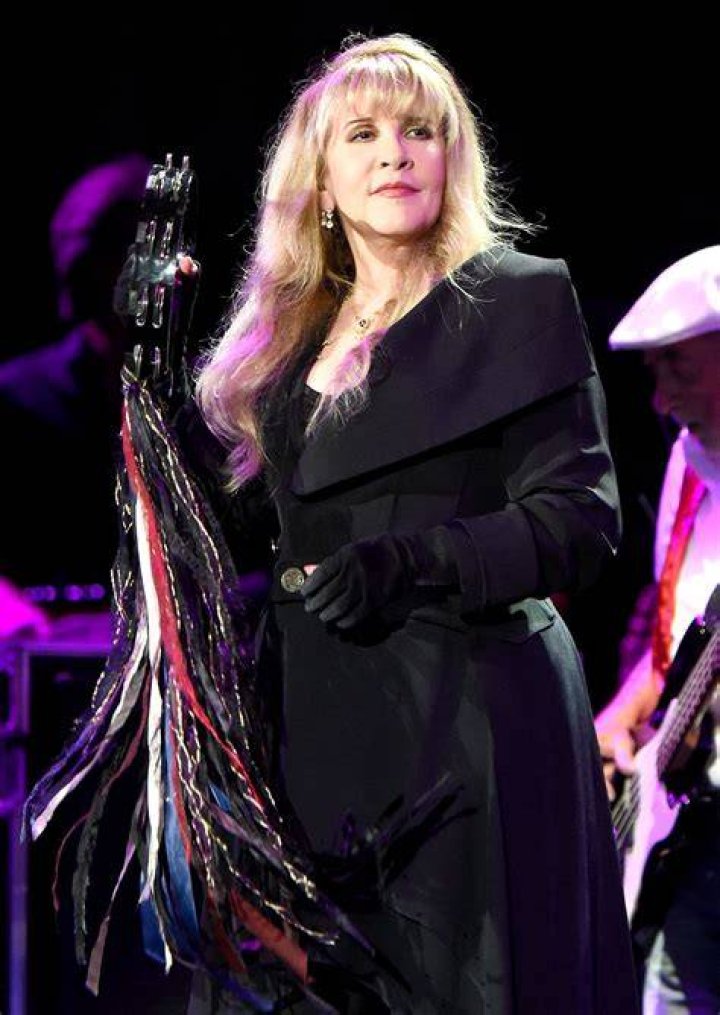 Stevie Nicks And Lanie Gardner's Serendipitous Encounter