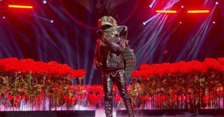 The Turtle on 'The Masked Singer' Is THIS Former Teen Heartthrob (SPOILERS)