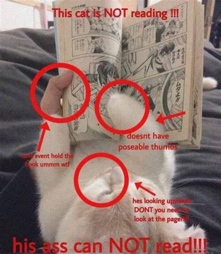 Unveiling The Cultural Impact And Significance Of The "I'm Not Reading That" Meme