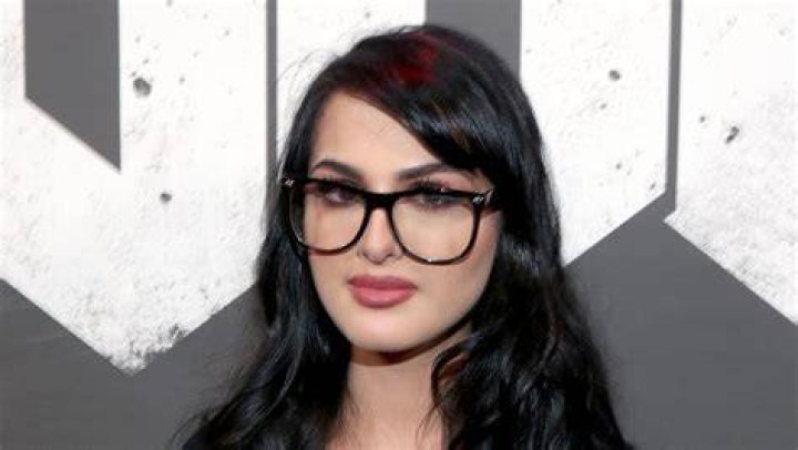 Unveiling The Truth Behind SSSniperWolf's November 2024 Incident