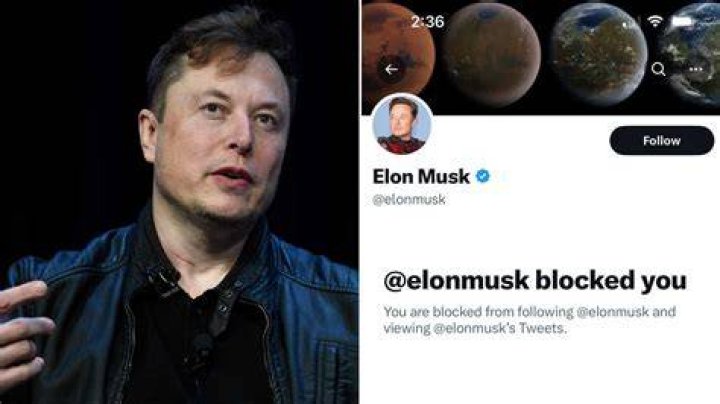 Veridis Quo Meaning Explained As Elon Musk Tweet Goes Viral On Twitter ·