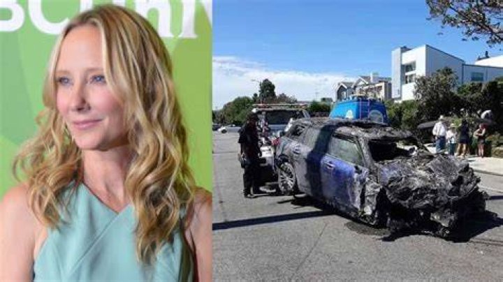 What happened to Anne Heche's brother?