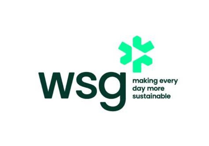 What is WSG and How to Respond? Digital Web Sight
