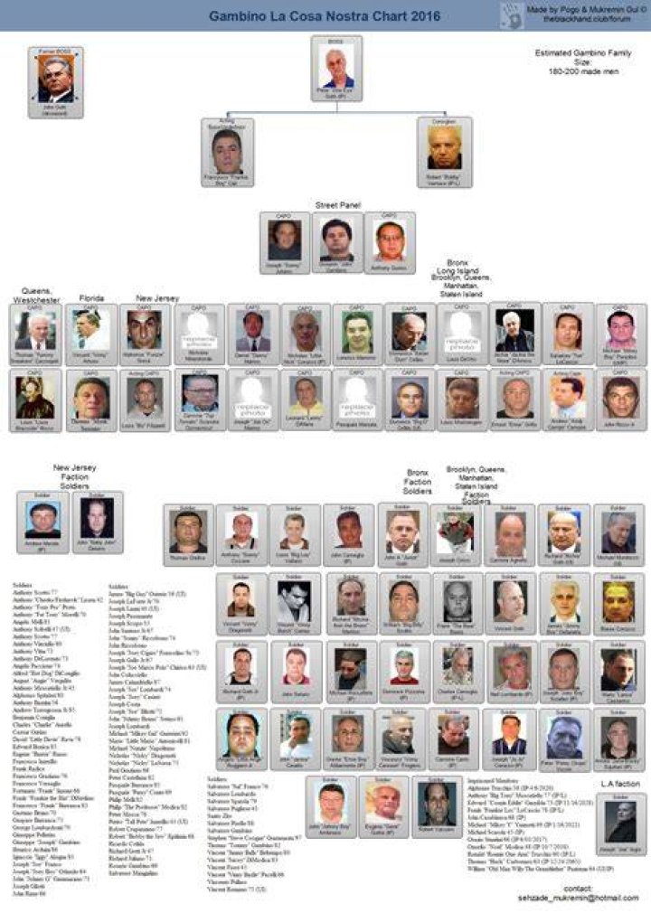 Where Is the Infamous Gambino Crime Family Now?